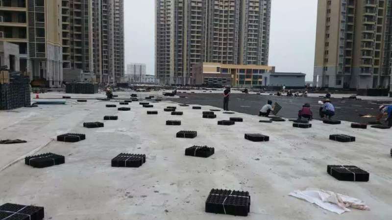 屋顶花台好色先生网站下载哪个好?